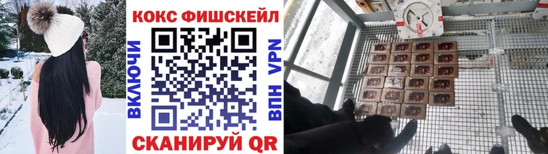 дарнет шоп  Алексеевка  Cocaine VHQ 
