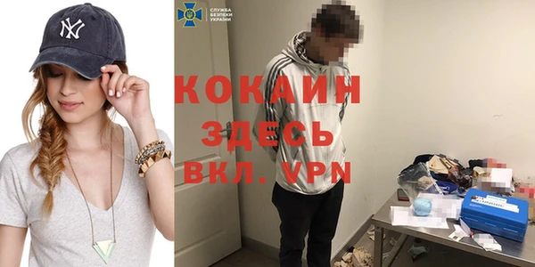 шишки Алексин