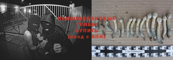 шишки Алексин
